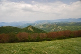 Clicca qui per vedere l'immagine in dettaglio